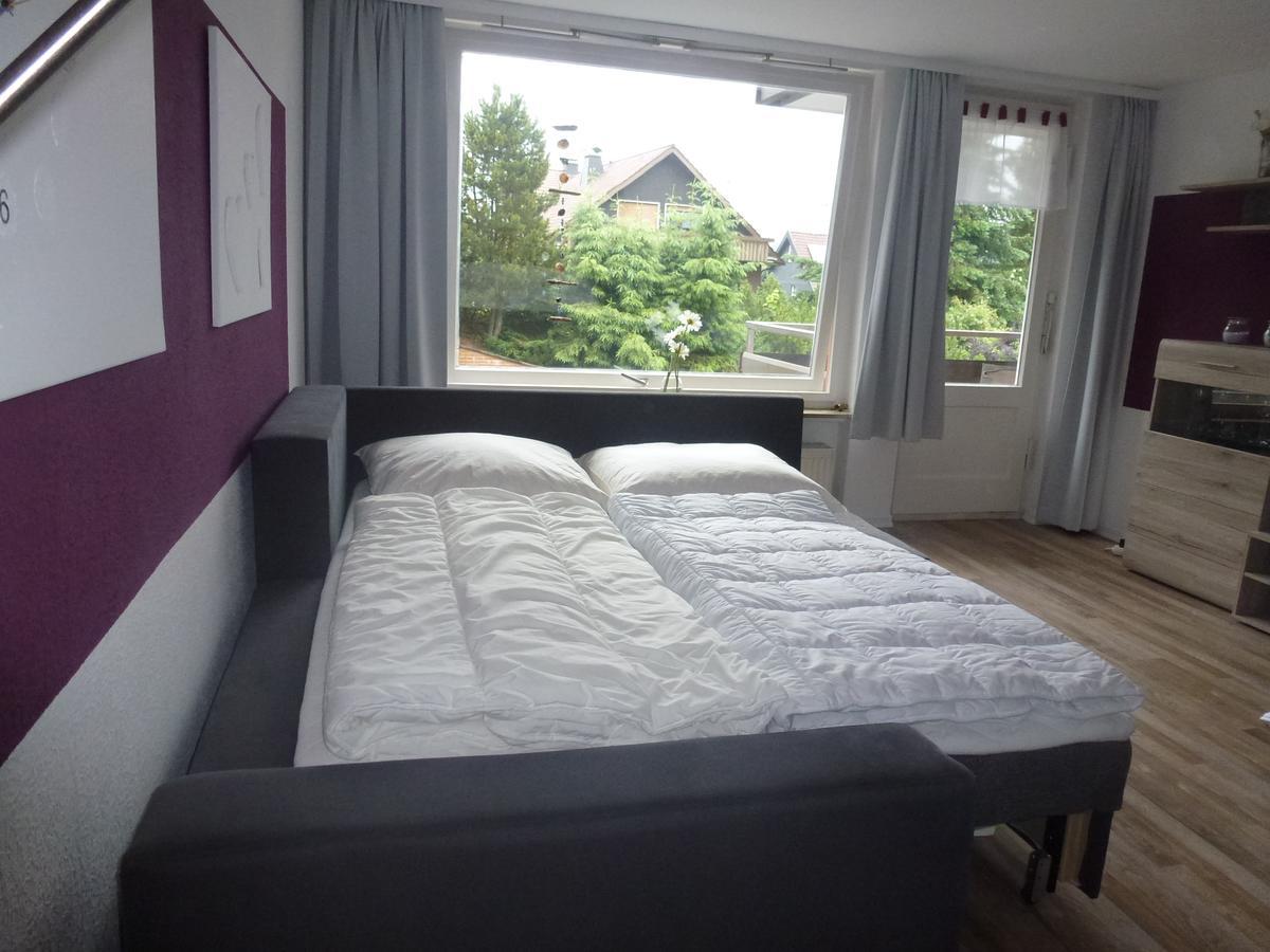 Moderne, Ruhige In Harz Inkl Wlan & Netflix Appartement